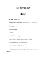 Sỏi đường mật (Kỳ 3) pptx