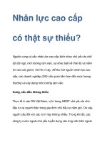 Nhân lực cao cấp có thật sự thiếu? pps