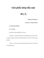 Giải phẫu khớp đầu mặt (Kỳ 2) ppsx