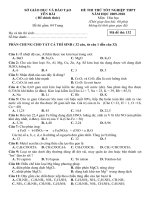 4 ma de thi thu tn -2010 -dap an rat phu hop