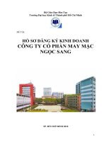 Hồ sơ đăng ký doanh nghiệp công ty cổ phần may mặc ngọc sang