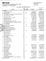 ngân hàng thương mại cổ phần sài gòn hà nội shb báo cáo tài chính hợp nhất quý 1 năm 2013 td bảng cân đối kế toán