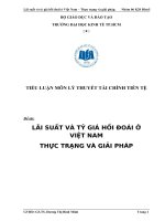 TIỂU LUẬN MÔN LÝ THUYẾT TÀI CHÍNH TIỀN TỆ   LÃI SUẤT VÀ TỶ GIÁ HỐI ĐOÁI Ở VIỆT NAM THỰC TRẠNG VÀ GIẢI PHÁP