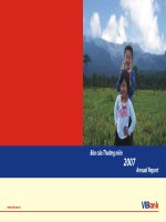 báo cáo thường niên 2007 annual report vibank