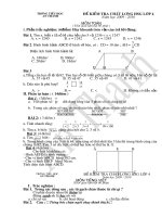 DE KTHSG TOAN+TIENG VIET LOP 4 THANG 4.2010