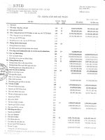 ngân hàng thương mại cổ phần sài gòn hà nội shb báo cáo tài chính riêng lẻ quý 1 năm 2011 td bảng cân đối kế toán