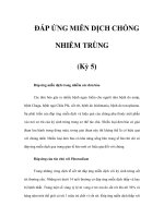 ÐÁP ỨNG MIỄN DỊCH CHỐNG NHIỄM TRÙNG (Kỳ 5) ppt
