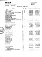 ngân hàng thương mại cổ phần sài gòn hà nội shb báo cáo tài chính riêng lẻ quý 3 năm 2013 td bảng cân đối kế toán