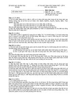 HSG Hóa 9 Hà Nội 2010