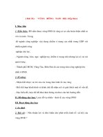 Địa lý lớp 9 - VÙNG ĐÔNG NAM BỘ ( tiếp theo) docx