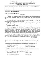 ĐỀ THI HKII T.Việt - Lớp 4