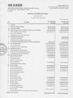 ngân hàng thương mại cổ phần sài gòn hà nội shb bảng cân đối kế toán quý 2 năm 2010 tại ngày 30 tháng 6 năm 2010