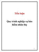Tiểu luận: Quy trình nghiệp vụ bảo hiểm nhân thọ