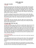 CHIẾC LƯỢC NGÀ (1966, Nguyễn Quang Sáng)