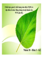 Bài thuyết trình chiến lược quản lý chất lượng toàn diện (TQM) và đặc điểm tổ chức bằng chứng từ một thành viên WTO gần đây