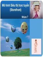 Báo cáo: Giới thiệu về mô hình Siêu thị trực tuyến (Storefront) pps