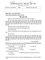 ĐỀ THI HKII T.Việt - Lớp 3