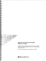ngân hàng thương mại cổ phần sài gòn hà nội các báo cáo tài chính riêng lẻ theo chuẩn mực kế toán vn hệ thống kế toán tổ chức tín dụng vn đã được kiểm toán cho năm tài chính kết thúc ngày 31 tháng 12 năm 2009