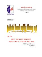 tiểu luận quản trị nguồn nhân lực tổng công ty xăng dầu việt nam