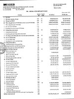 ngân hàng thương mại cổ phần sài gòn hà nội shb báo cáo tài chính hợp nhất quý 3 năm 2012 td bảng cân đối kế toán
