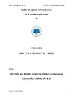 TIỂU LUẬN MÔN QUẢN TRỊ RỦI RO TÀI CHÍNH   CÁC THẤT BẠI TRONG QUẢN TRỊ RỦI RO: CHÚNG LÀ GÌ VÀ KHI NÀO CHÚNG XẢY RA?