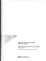 ngân hàng thương mại cổ phần sài gòn hà nội các báo cáo tài chính hợp nhất theo chuẩn mực kế toán vn hệ thống kế toán tổ chức tín dụng vn đã được kiểm toán cho năm tài chính kết thúc ngày 31 tháng 12 năm 2009