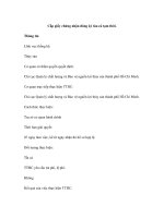 Cấp giấy chứng nhận đăng ký tàu cá tạm thời pdf