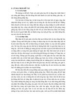 SKKN moi ban xem va nhan xet