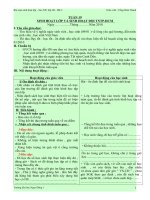 Giáo án sinh hoạt lớp - Đội thứ sáu lớp 3