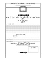 SKKN : Rèn kĩ năng viết văn miêu tả lớp 4