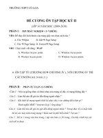 De cuong on Tap Ky II Tin 10