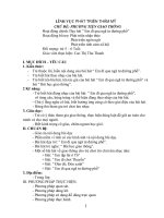 Giáo án phát triển thẩm mĩ