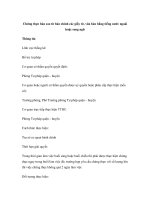 Chứng thực bản sao từ bản chính các giấy tờ, văn bản bằng tiếng nước ngoài hoặc song ngữ doc