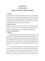 CHƯƠNG HAI: KỸ THUẬT RFLP pdf