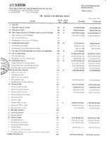 ngân hàng thương mại cổ phần sài gòn hà nội shb báo cáo tài chính hợp nhất quý 3 năm 2011 td bảng cân đối kế toán