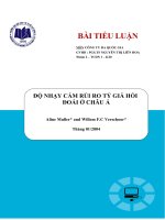 ĐỘ NHẠY CẢM RỦI RO TỶ GIÁ HỐI ĐOÁI Ở CHÂU Á