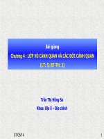 Lớp vỏ cảnh quan và các đới cảnh quan pot