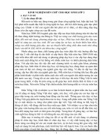 SKKN: Luyện chữ viết cho HS lớp 2