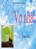 bài giảng vợ nhặt kim lân bài 9