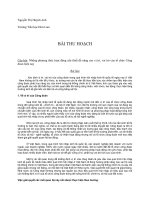 Bài thu hoạch: hoạt động Công Đoàn