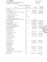 ngân hàng thương mại cổ phần sài gòn hà nội shb báo cáo tài chính riêng lẻ quý 2 năm 2011 td bảng cân đối kế toán