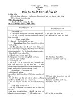 giao an lop 2 tuan 31 CKTKN