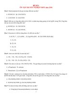10 ĐỀ ÔN THI TN THPT 2010