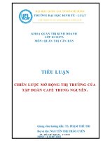 Chiến lược mở rộng thị trường của tập đoàn cafe trung nguyên