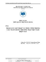 TRÀO LƯU SÁP NHẬP VÀ THÂU TÓM TRONG CÁC NGÂN HÀNG THƯƠNG MẠI VIỆT NAM HIỆN NAY