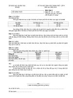 HSG Địa 9 Hà Nội 2010