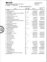 ngân hàng thương mại cổ phần sài gòn hà nội shb báo cáo tài chính hợp nhất quý 1 năm 2014 td bảng cân đối kế toán