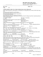 Đề tham khảo Hóa_11 HK_II số 6