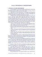 Giáo trình Biện pháp sinh học trong bảo vệ thực vật Chương 4 pot