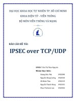 BÁO CÁO ĐỀ TÀI  IPSEC over TCPUDP